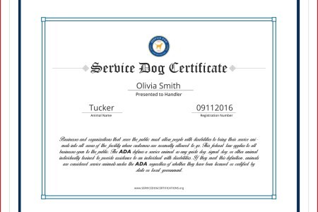 Dog Training Certificate Template Com Best Free Templates