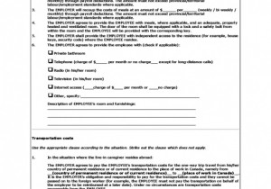 Download Hiring Formal Caregivers For In Home Services Michigan Caregiver Employer Employee Contract