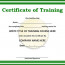 Editable Training Certificate Template Free Dog Templates