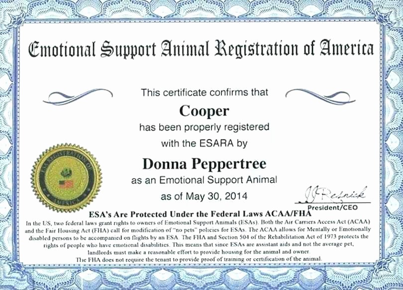 Blank Emotional Support Animal Certificate