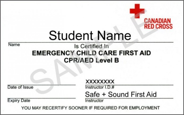 Fake American Red Cross Certification Template Launchosiris Com Free Cpr Certificate