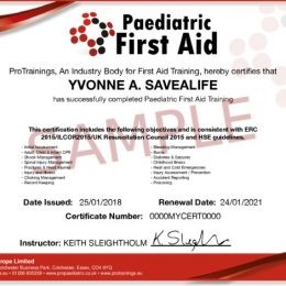 First Aid Certificate Template Image Cpr Certification Training