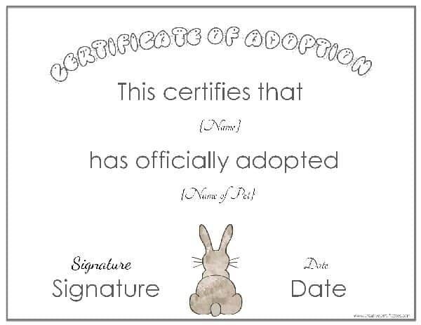Free Adoption Certificate Template Customize Online Stuffed Animal