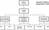 Free Company Structure Chart Template Corporate