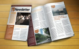 Free Newsletter Templates Email The Grid System Adobe Indesign