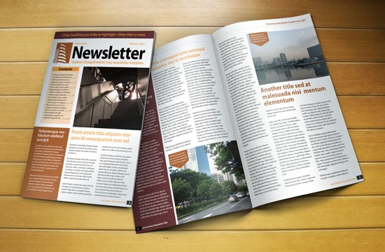 Free Newsletter Templates Email The Grid System Adobe Indesign
