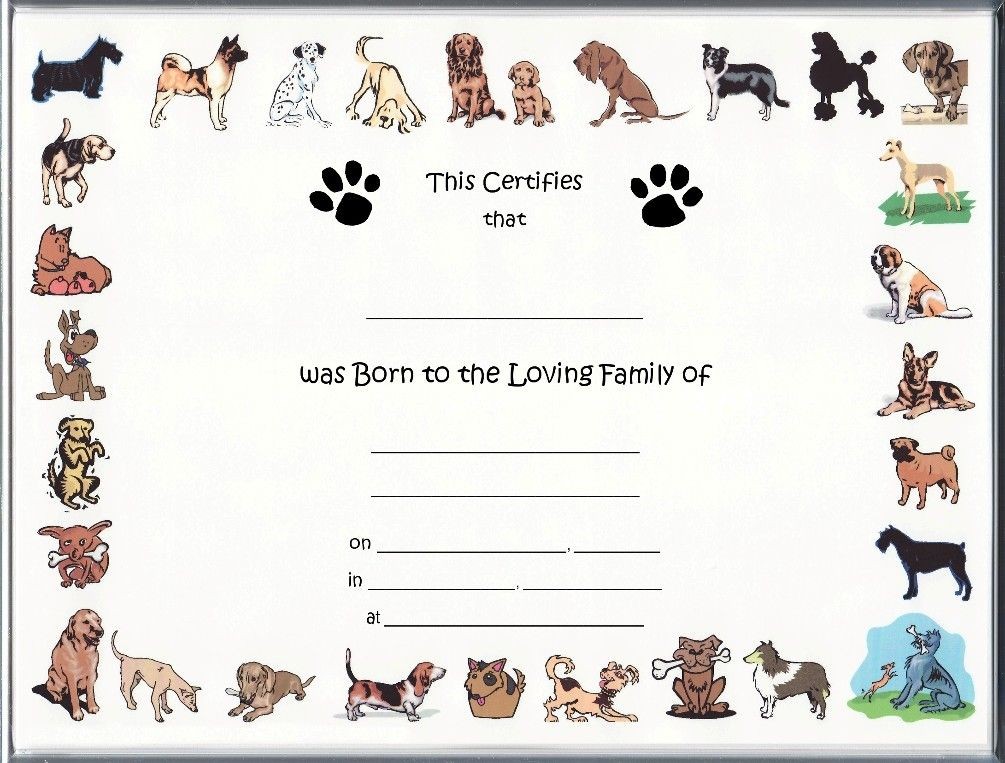 Free Pet Birth Certificate Template Puppy Certificates Dog