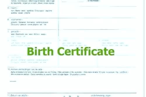 Haitian Birth Certificate Template Top Sample Mexican