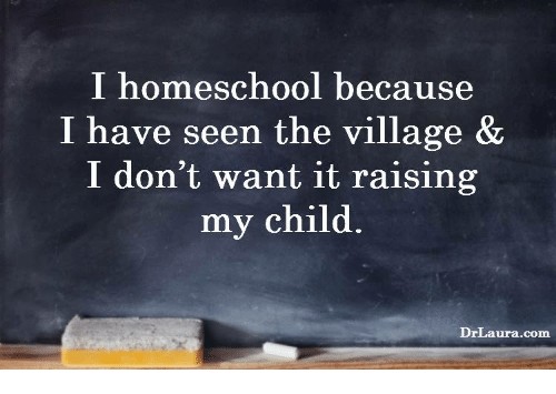 I Homeschool Because Have Seen The Village Don T Want It