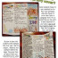 Kids Ecosystem Brochure Examples Template