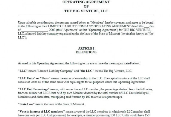 Llc Operating Agreement Template Free Single Member Virginia