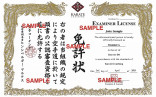 Martial Arts Certificate Maker Template Best Of