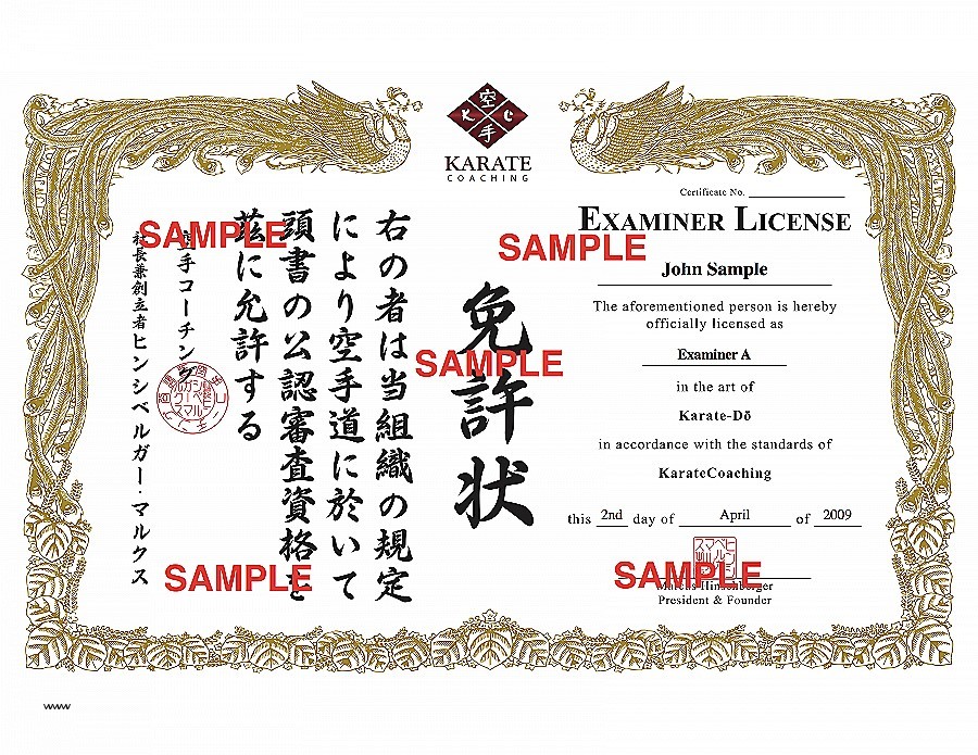 Martial Arts Certificate Maker Template Best Of