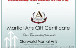 Martial Arts Gift Certificates Templates Com Certificate Template