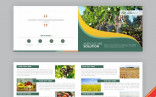 Modren Agriculture Brochure Design Template For Free