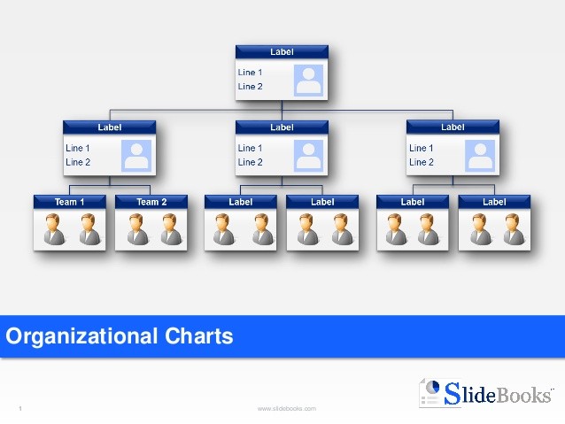 Organizational Charts In Editable Powerpoint Org Chart