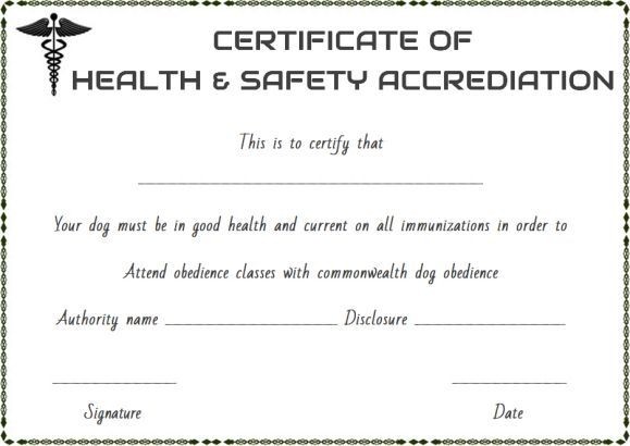 Pet Health Certificate Template Word Veterinary