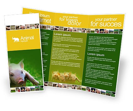 Pig Brochure Template Design And Layout Download Now 01708 Free Agriculture Flyer