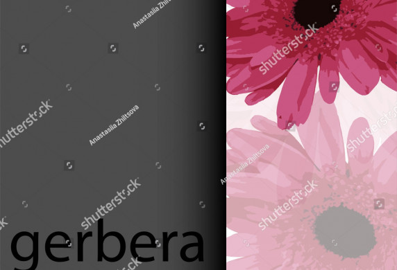 Pink Gerbera Daisy On White Grey Stock Vector Royalty Free Template