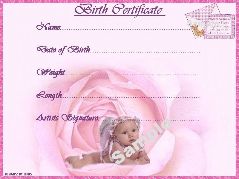 PRETTY PINK BIRTH CERTIFICATE CERTIFICATES 4 REBORN FAKE BABY Approx Birth Certificate For Baby