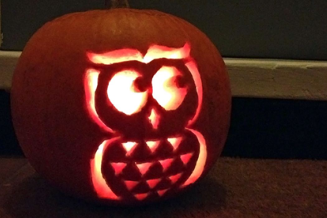 Printable Owl Pumpkin Carving Template Halloween Pinterest Free