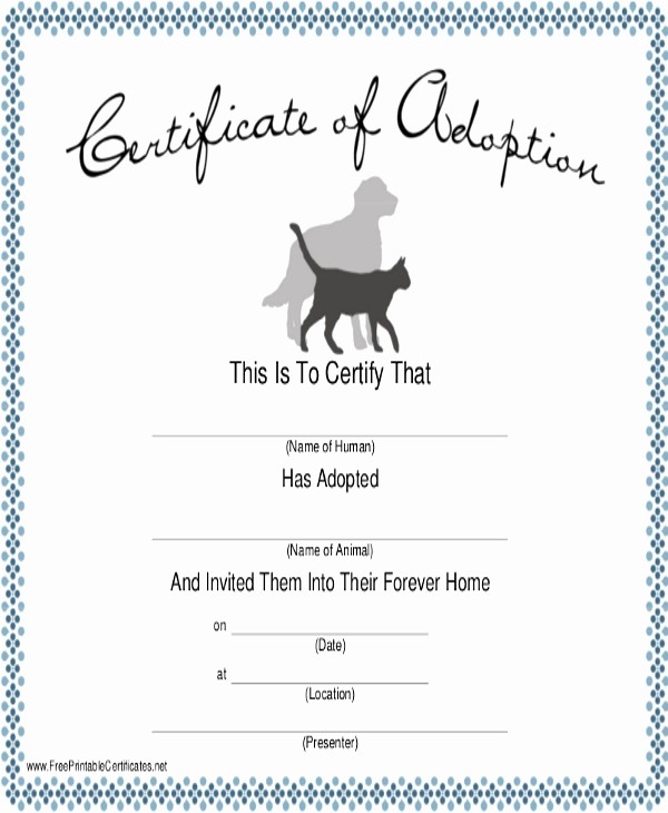 Printable Service Dog Certificate Best Of The Association Free Training Templates