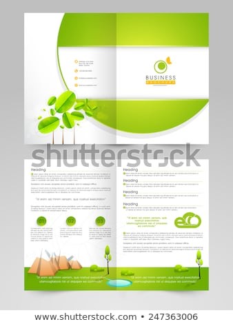 Professional Business 2 Page Flyer Template Stock Vector Royalty