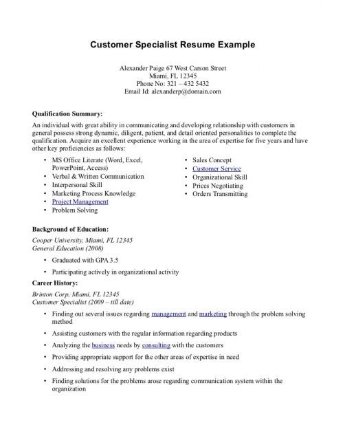 Professional Summary Resume Examples Customer Service Template