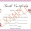 Reborn Birth Certificate Template Dieqogo S Blog Free