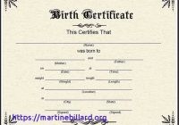 South African Birth Certificate Template Unique