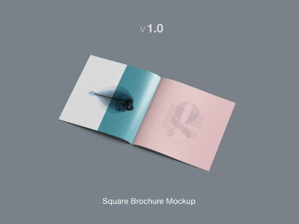 Square Brochure Mockup Template
