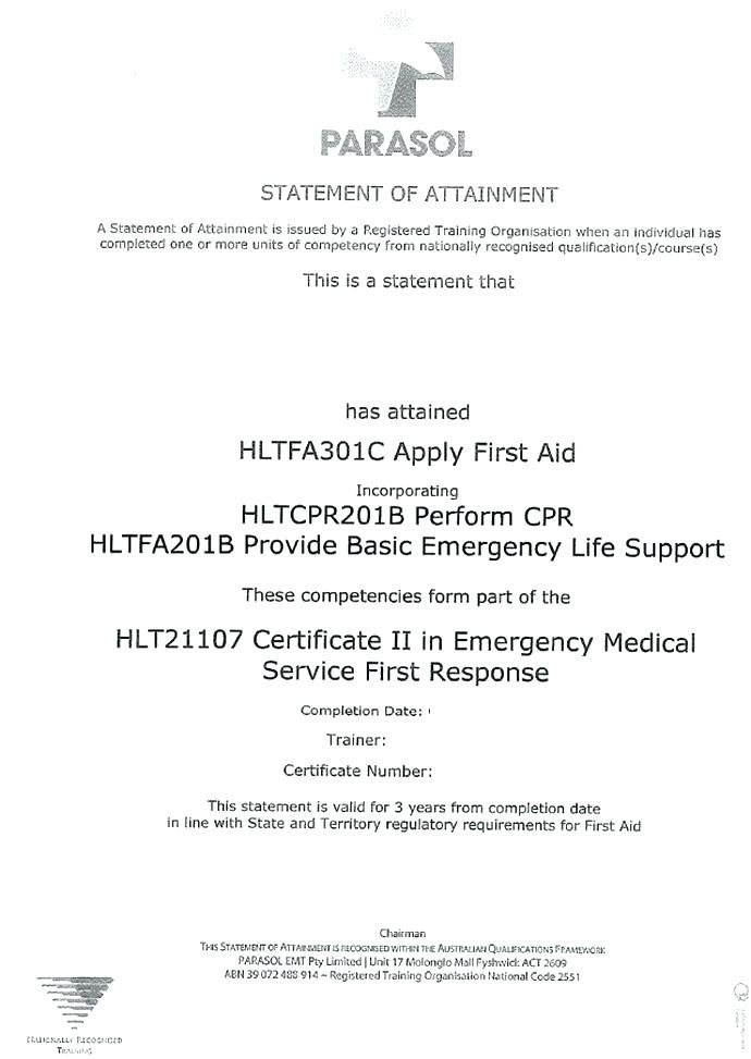 Training Certificate Template Naseri Co First Aid Word