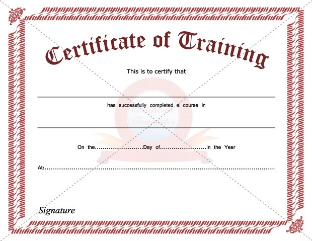 Training Certificates Templates Free Download Zrom Tk Blank Certificate