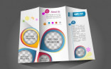 Tri Fold Brochure Illustrator Template Free Download Adobe