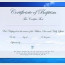 Us Israel Certificate Of Origin Template Igotz Org