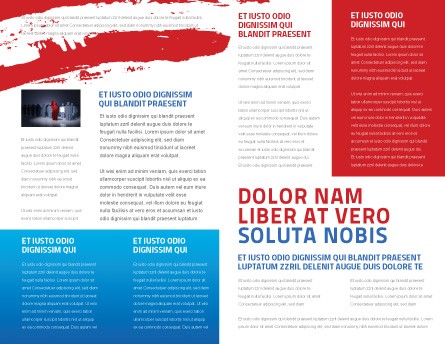 USA Elections Brochure Template Design And Layout Download Now America