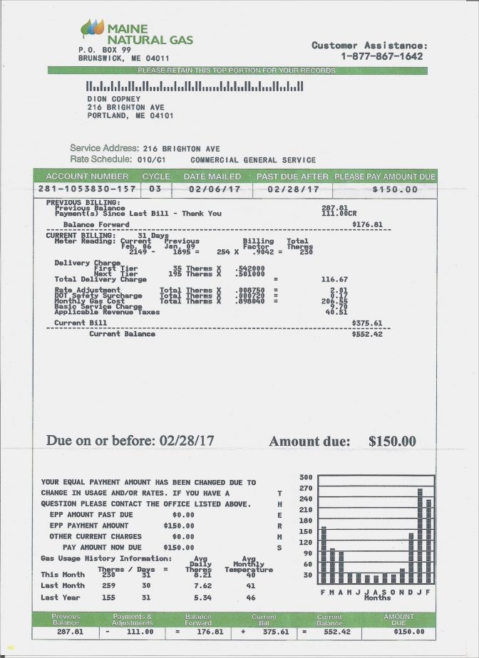 Water Bill Invoice Template Fake Utility Acurnamed Caspianlinks Download