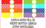 Water Bottle Labels Template Word And 9 Sets Of Free Printable Design