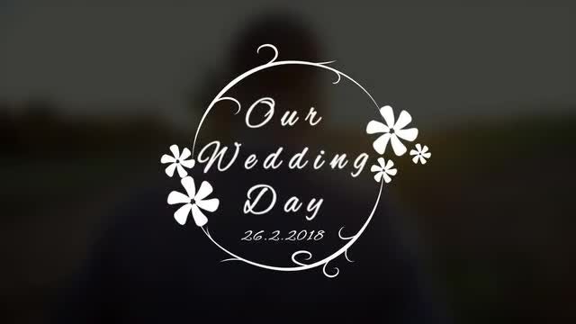Wedding Title V4 After Effects Templates Motion