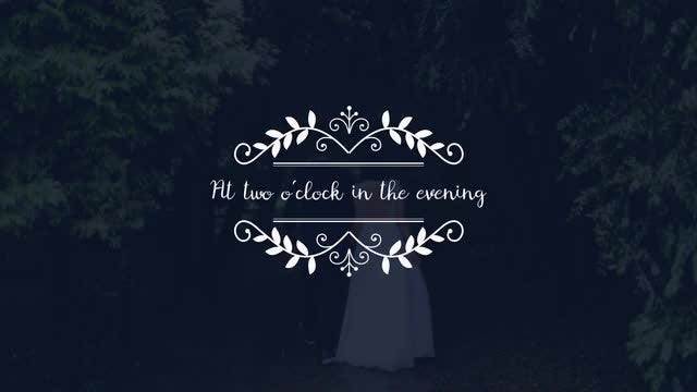 Wedding Titles After Effects Templates Motion