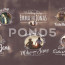 Wedding Titles After Effects Templates Projects Pond5 Title Project